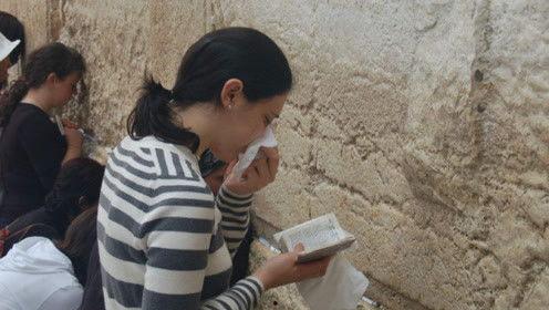 娱乐吃瓜君选秀